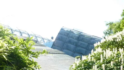 Botanischer Garten Graz